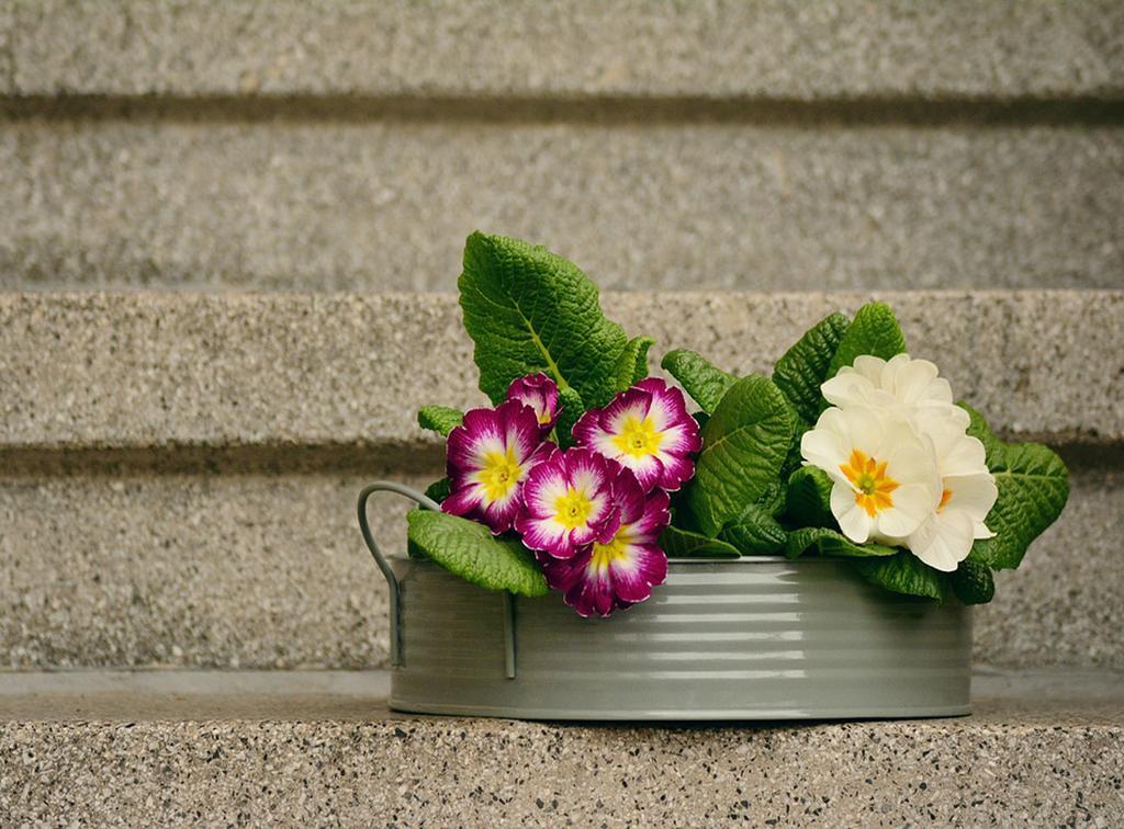 Lovely Home Marta Pozzuoli Esterno foto